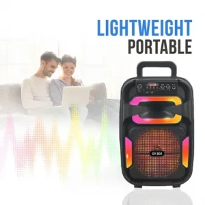 Радио Тонколона Gy-801 8" С Микрофон | Bluetooth, Fm, Usb И Tf Card